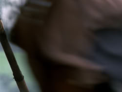 extant_XenaWarriorPrincess_4x05-AGoodDay_02490