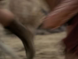 extant_XenaWarriorPrincess_4x05-AGoodDay_02611