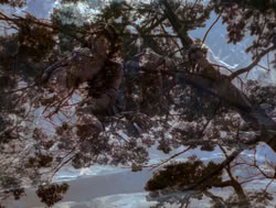 extant_XenaWarriorPrincess_4x05-AGoodDay_03238