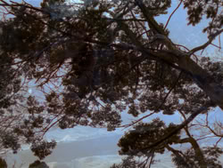 extant_XenaWarriorPrincess_4x05-AGoodDay_03239