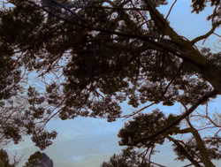 extant_XenaWarriorPrincess_4x05-AGoodDay_03240