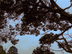 extant_XenaWarriorPrincess_4x05-AGoodDay_03241