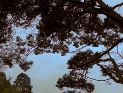 extant_XenaWarriorPrincess_4x05-AGoodDay_03242