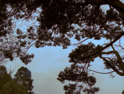 extant_XenaWarriorPrincess_4x05-AGoodDay_03243