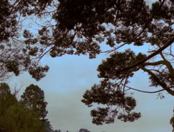 extant_XenaWarriorPrincess_4x05-AGoodDay_03244