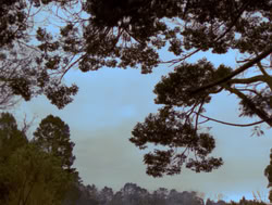 extant_XenaWarriorPrincess_4x05-AGoodDay_03245