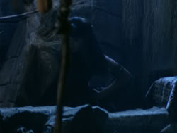 extant_XenaWarriorPrincess_4x06-ATaleOfTwoMuses_0865