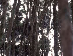 extant_XenaWarriorPrincess_4x07-LockedUpAndTiedDown_0002
