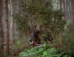extant_XenaWarriorPrincess_4x07-LockedUpAndTiedDown_0071