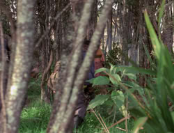 extant_XenaWarriorPrincess_4x07-LockedUpAndTiedDown_0077