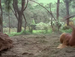 extant_XenaWarriorPrincess_4x07-LockedUpAndTiedDown_0086