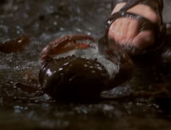 extant_XenaWarriorPrincess_4x07-LockedUpAndTiedDown_0578