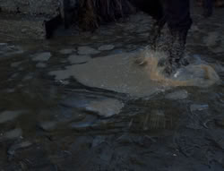 extant_XenaWarriorPrincess_4x07-LockedUpAndTiedDown_1336