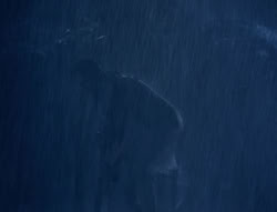 extant_XenaWarriorPrincess_4x07-LockedUpAndTiedDown_1511