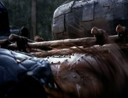 extant_XenaWarriorPrincess_4x07-LockedUpAndTiedDown_1711