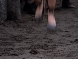 extant_XenaWarriorPrincess_4x07-LockedUpAndTiedDown_1939