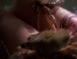 extant_XenaWarriorPrincess_4x07-LockedUpAndTiedDown_2113
