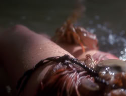 extant_XenaWarriorPrincess_4x07-LockedUpAndTiedDown_2114