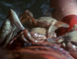 extant_XenaWarriorPrincess_4x07-LockedUpAndTiedDown_2118