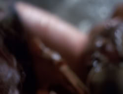 extant_XenaWarriorPrincess_4x07-LockedUpAndTiedDown_2129
