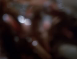 extant_XenaWarriorPrincess_4x07-LockedUpAndTiedDown_2130