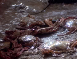 extant_XenaWarriorPrincess_4x07-LockedUpAndTiedDown_2149