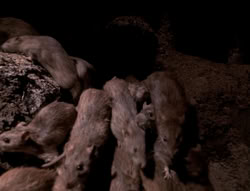 extant_XenaWarriorPrincess_4x07-LockedUpAndTiedDown_2316