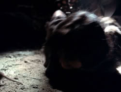 extant_XenaWarriorPrincess_4x07-LockedUpAndTiedDown_2324