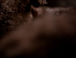 extant_XenaWarriorPrincess_4x07-LockedUpAndTiedDown_2334