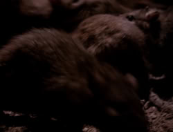 extant_XenaWarriorPrincess_4x07-LockedUpAndTiedDown_2464