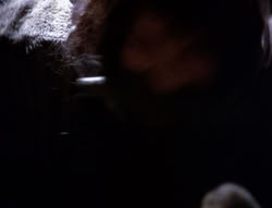 extant_XenaWarriorPrincess_4x07-LockedUpAndTiedDown_2466