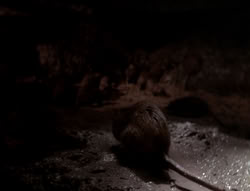 extant_XenaWarriorPrincess_4x07-LockedUpAndTiedDown_2626