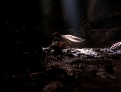extant_XenaWarriorPrincess_4x07-LockedUpAndTiedDown_2646