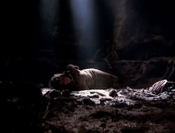 extant_XenaWarriorPrincess_4x07-LockedUpAndTiedDown_2743