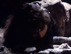extant_XenaWarriorPrincess_4x07-LockedUpAndTiedDown_2950