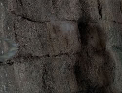 extant_XenaWarriorPrincess_4x07-LockedUpAndTiedDown_3036