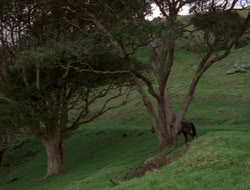 4x08-Crusader_000048