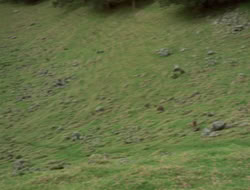 4x08-Crusader_000057