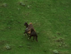 4x08-Crusader_000083
