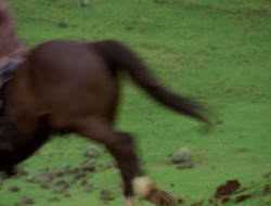 4x08-Crusader_000100