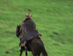 4x08-Crusader_000103
