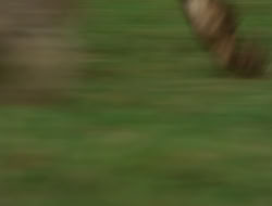 4x08-Crusader_000122