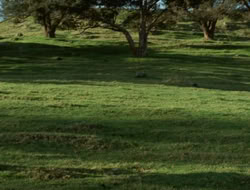 4x08-Crusader_000461