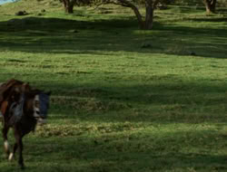 4x08-Crusader_000462