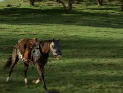 4x08-Crusader_000463