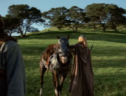 4x08-Crusader_000472
