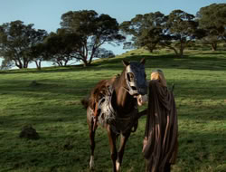 4x08-Crusader_000473