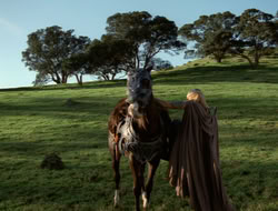 4x08-Crusader_000474