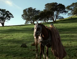 4x08-Crusader_000476