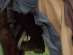 4x08-Crusader_000477
